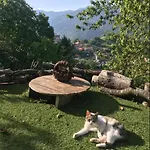 Books Case de vacanță *