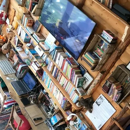 Books * Beden
